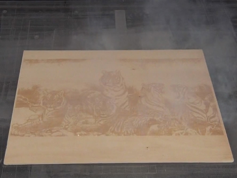 工業(yè) CO2 木版印刷激光打標(biāo)機(jī)