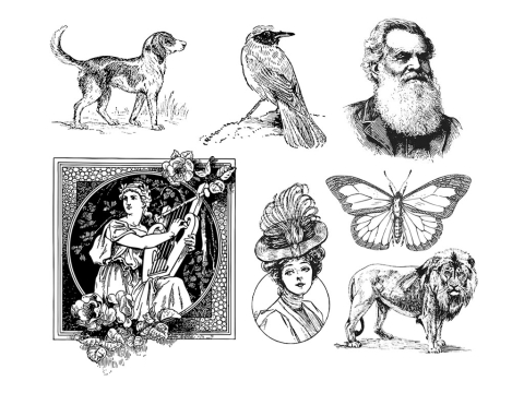 免費 2D/3D 激光蝕刻機的激光雕刻矢量文件