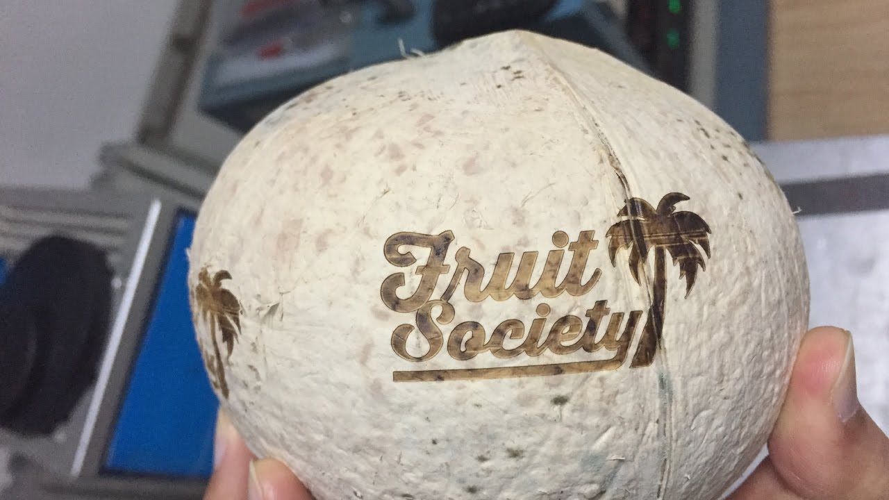 STYLECNC 泰國(guó)椰子激光雕刻機(jī)