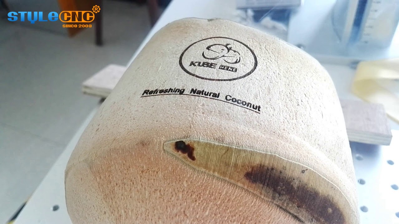 3套 CO2 美國(guó) Galvo 激光雕刻機(jī)用于椰子